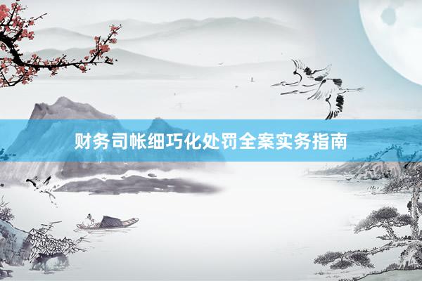 财务司帐细巧化处罚全案实务指南